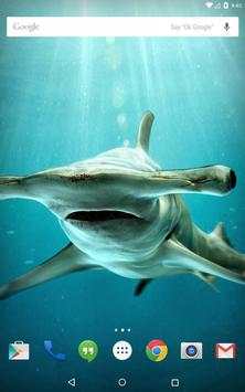 Pig Tiger Shark Turtle screenshot 14