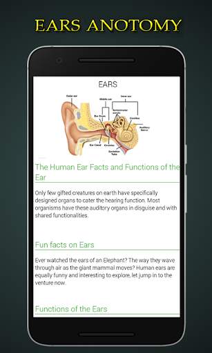 Human Anatomy and Physiology screenshot 4