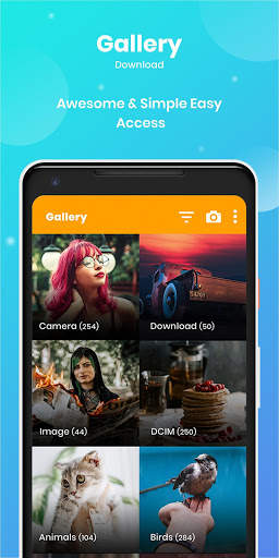 Gallery Download screenshot 1
