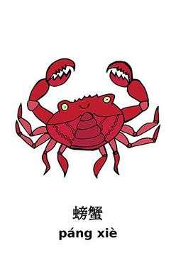 Learn Chinese Vocabulary screenshot 6