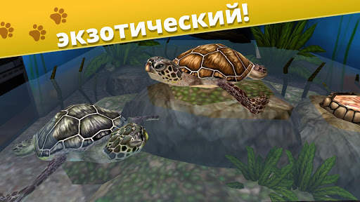 Pet World - приют для животных скриншот 4
