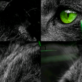 1673 Puzz icon