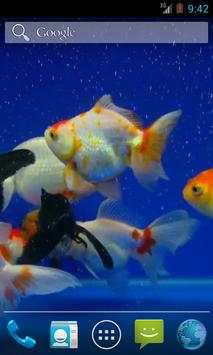 Gold Fish screenshot 3