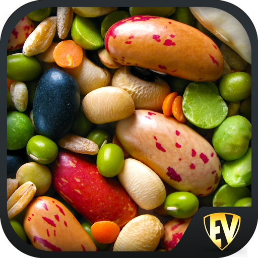Legumes &amp; Beans Recipes, Healthy, Offline, Salad icon