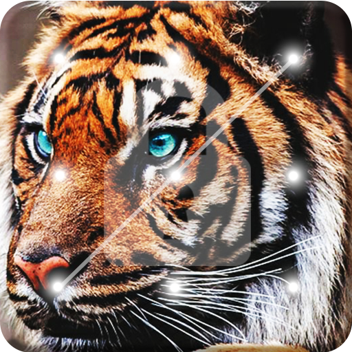 Tiger Screen Lock icon