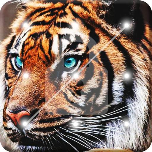 Tiger Screen Lock 1.0