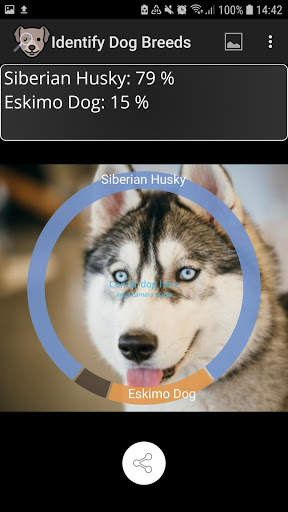 Erkenne Hunderassen screenshot 4
