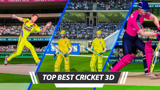 Real Cricket 2002-World Cricket Championship screenshot 3
