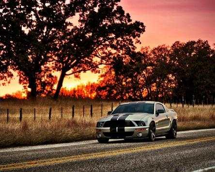 Jigsaw Puzzle Cars Ford screenshot 4