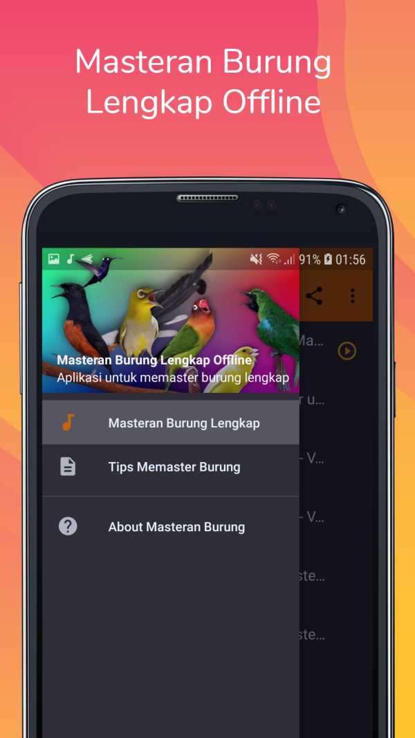 Bird Sounds स्क्रीनशॉट 2