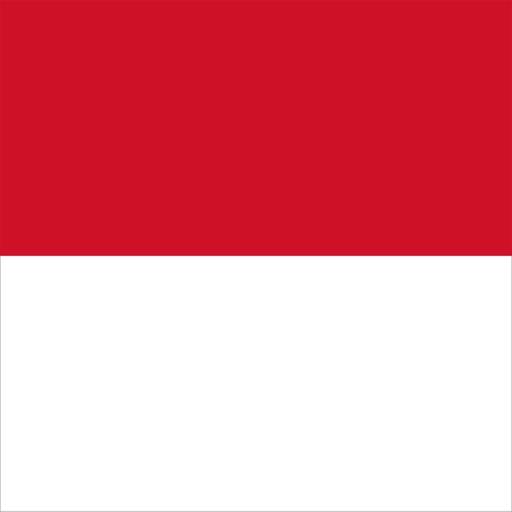 Indonesia VPN - Fast VPN Proxy 2.6