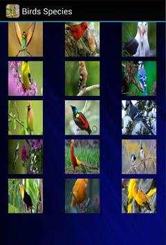 Birds Species Puzzle स्क्रीनशॉट 2