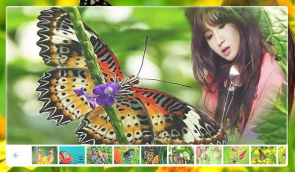 Butterfly Photo frame screenshot 1