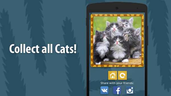 Face scanner: What cat 2 screenshot 2
