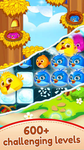 Bird Mania 2021 screenshot 4