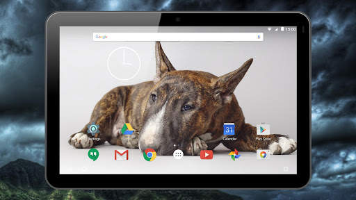 Fighting Dogs Live Wallpaper screenshot 14