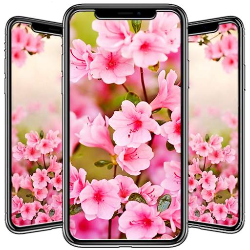 Spring Wallpaper 1.2