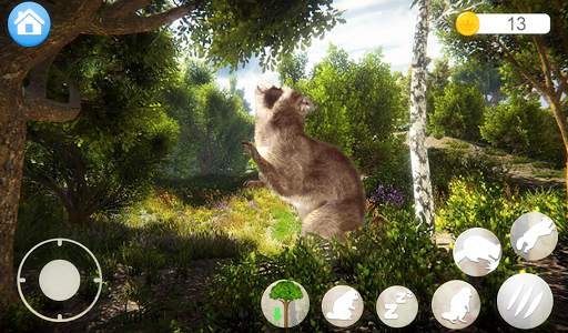 Talking Raccoon screenshot 8