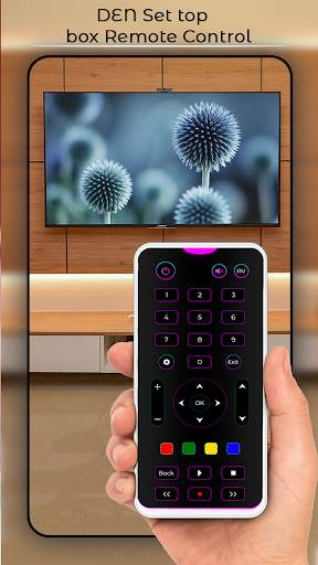 DEN Set Top Box Remote screenshot 4