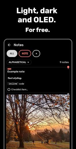 Bundled Notes - Lists, To-do screenshot 5