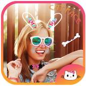 Cat Face Filter Effects 1.2