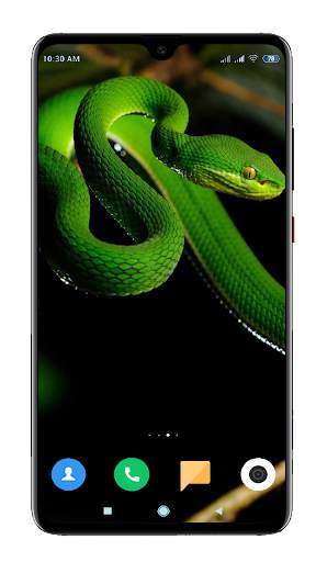 Snake Wallpaper HD screenshot 3