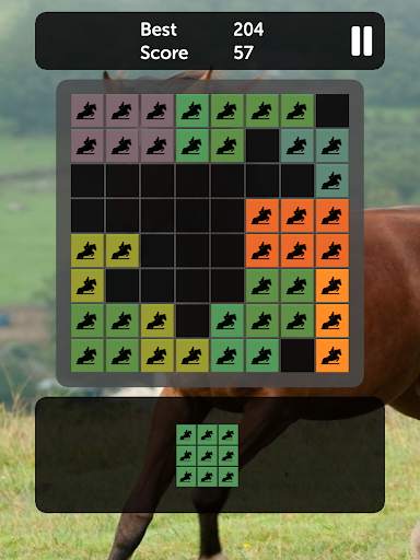 Horse Blocks - Puzzle Games screenshot 6