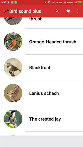 Bird Sound Plus स्क्रीनशॉट 1