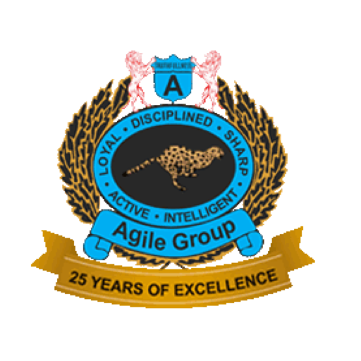 Agile Group иконка