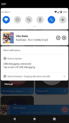 Malawi Radio screenshot 4
