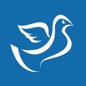 Shargeon - Share & Earn 1.3.4