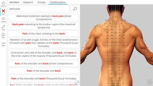 Visual Acupuncture 3D स्क्रीनशॉट 4
