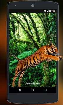 Tiger Live Wallpaper screenshot 6
