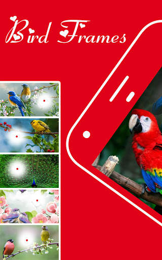 Photo frames screenshot 7