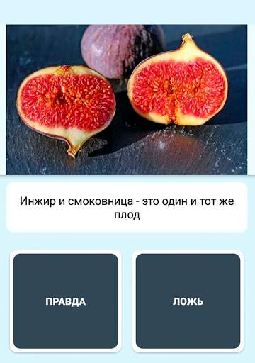Правда или ложь - вопрос ответ скриншот 14