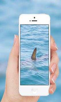 Sharks screenshot 3