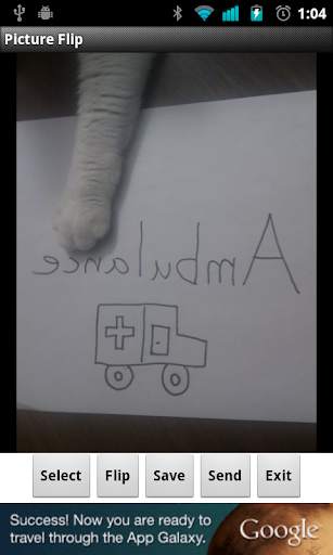 Picture Flip screenshot 3