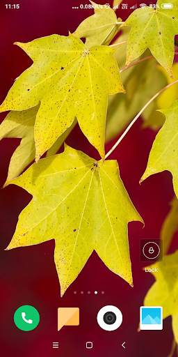 Autumn Wallpaper screenshot 16