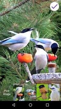 4K Garden Birds Lock Screen Wallpaper screenshot 6