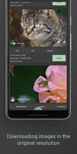 Pixabay Lite (quick wallpaper) screenshot 3