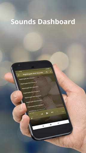 Nightingale Bird Sounds screenshot 1