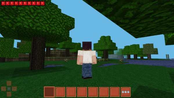MultiCraft pro edition 2 screenshot 1