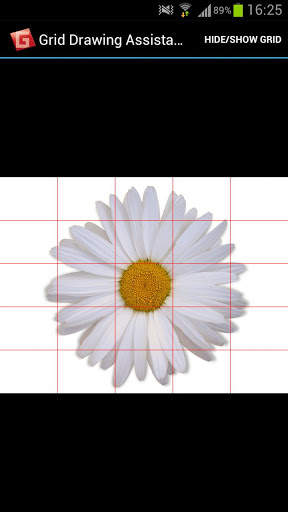 Grid Drawing Assistant screenshot 1