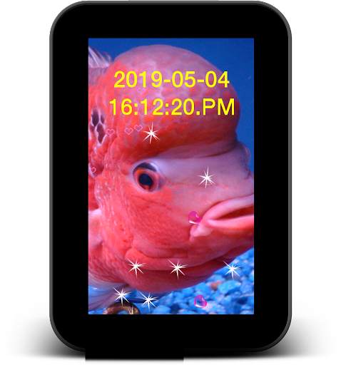 Flowerhorn Fish Live Wallpaper screenshot 11