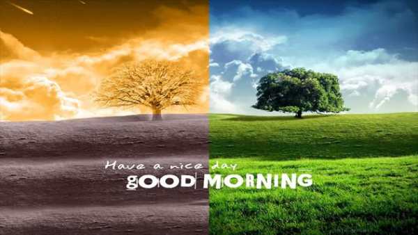 Good Morning Image screenshot 6