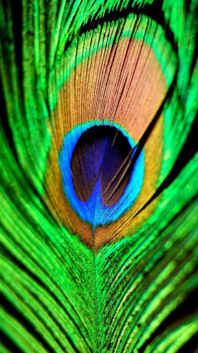 Green Wallpaper screenshot 4