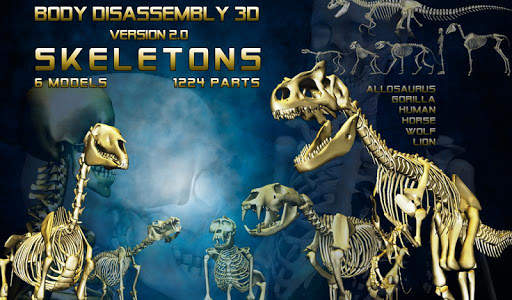 Body Disassembly 3D screenshot 7