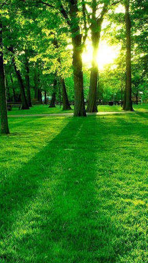 Green Wallpaper 4K, Green Shades background screenshot 6