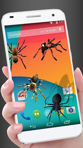 Spider in phone funny joke screenshot 4