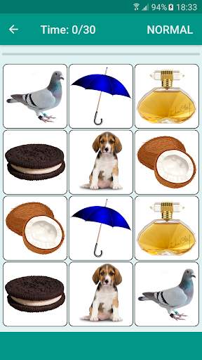 Brain game. Picture Match. screenshot 5